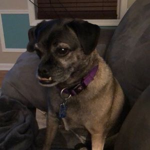 Meet your Posher, April